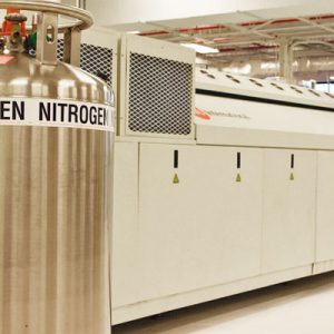 Nitrogen Purge